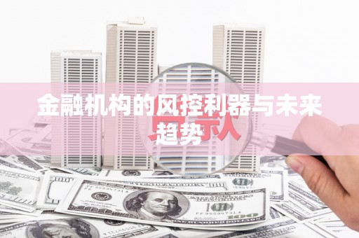 个旧金融机构的风控利器与未来趋势