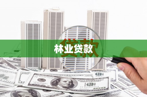 个旧林业贷款