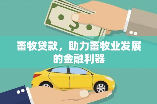个旧畜牧贷款，助力畜牧业发展的金融利器