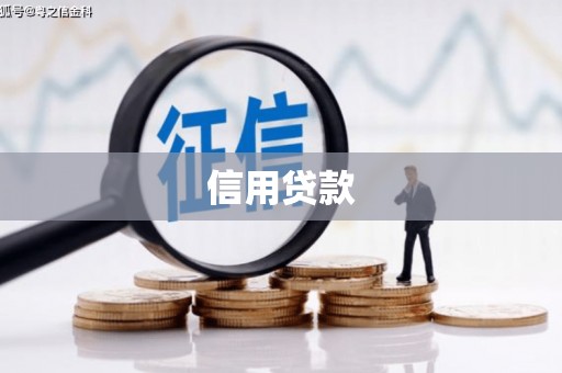 个旧信用贷款
