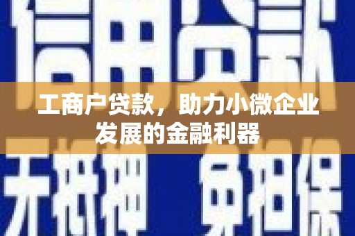 个旧工商户贷款，助力小微企业发展的金融利器