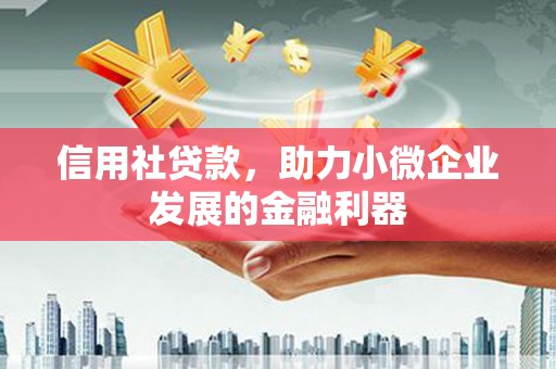 个旧信用社贷款，助力小微企业发展的金融利器