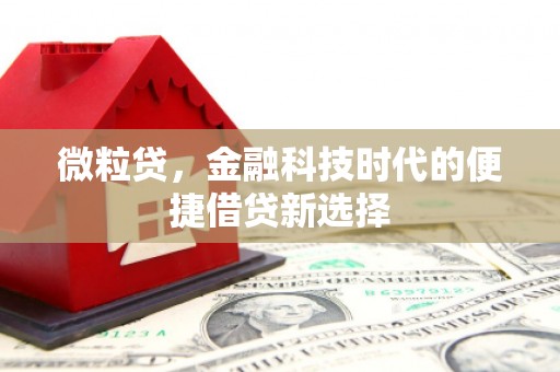 个旧微粒贷，金融科技时代的便捷借贷新选择