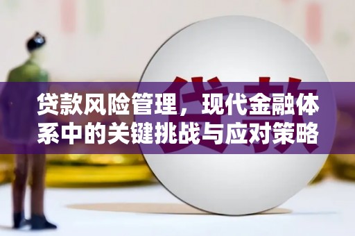 个旧贷款风险管理，现代金融体系中的关键挑战与应对策略