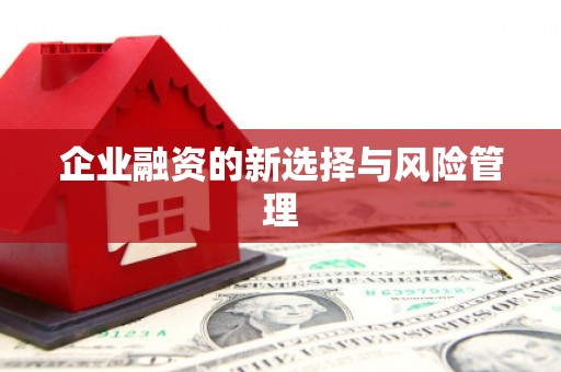 个旧企业融资的新选择与风险管理