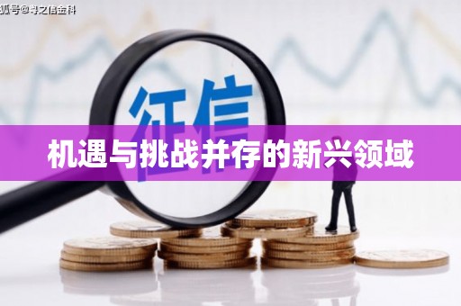 个旧机遇与挑战并存的新兴领域