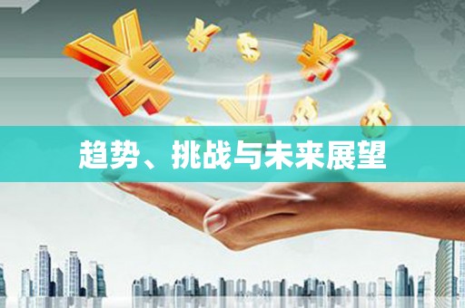 个旧趋势、挑战与未来展望